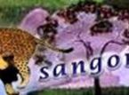 Sangonet