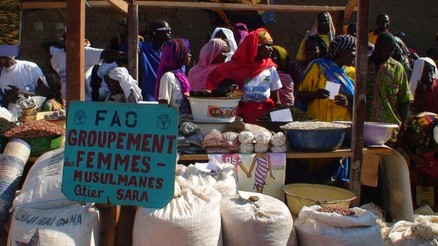 Célébration en différé de la Journée mondiale de l’alimentation à Ndélé Célébration en différé de la Journée mondiale de l’alimentation à Ndélé