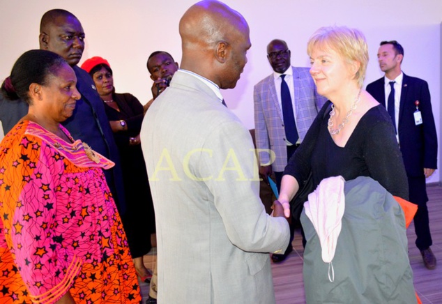 Mme Linda Mcavan accueillie par une délégation de parlementaires centrafricains