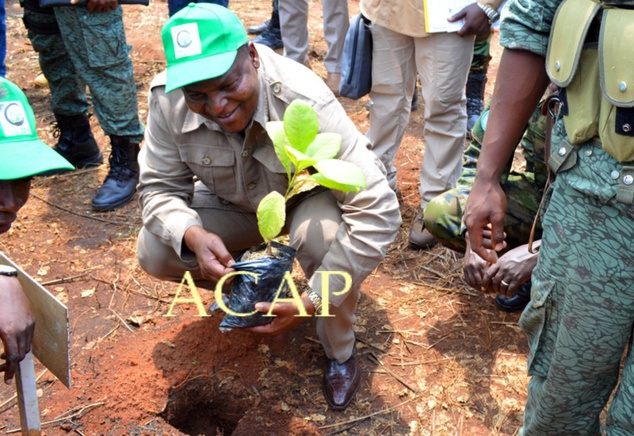 Le Président Touadéra se prêtant à l'exercice du planting à Bogangolo
