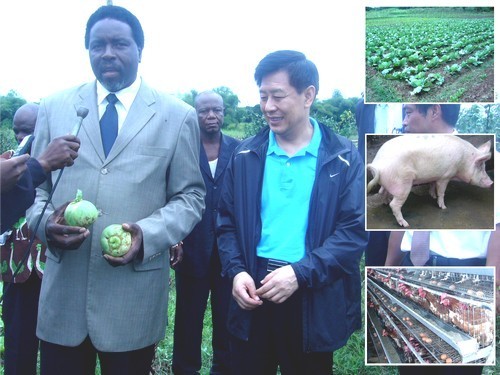 Le Ministre du Monde rural Fidèle Gouandjika visite la ferme pilote agropastorale de M’Poko