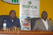 Atelier semestriel de validation du rapport du Plan de Relèvement et de consolidation de la Paix et du cadre de l’Engagement mutuel (RCPCA-CEM).