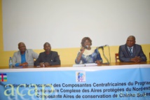 Le programme ECOFAC VI recommande au gouvernement de promouvoir l'écotourisme en Centrafrique