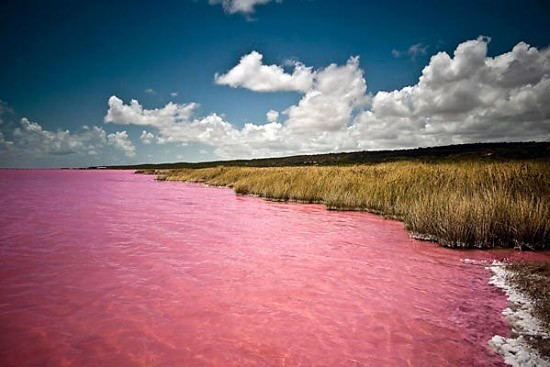 Sénégal : lac Rose de Retba