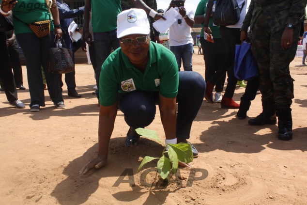 Planting d’arbres dans l’enceinte de l’Ecole Benz-vi dans le 5ème arrondissement de Bangui