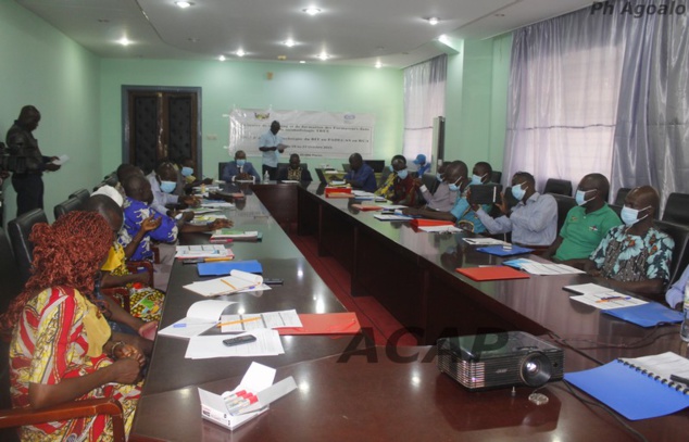 Lancement à Bangui de la session de formation des formateurs du comité national TREE