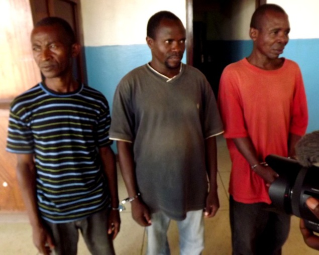 Trois braconniers récidivistes condamnés à Bayanga puis transférés à la prison centrale de Ngaragba à Bangui
