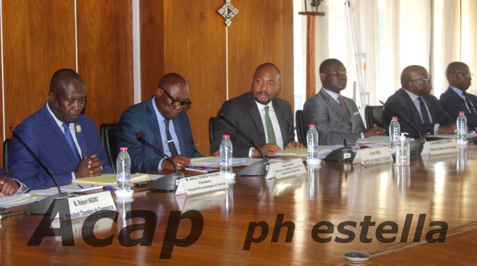 Première session du Comité National Economique et Financier de la République Centrafricaine