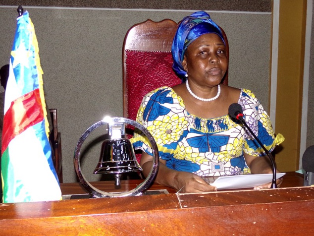 Le CNT exige l’annulation de trois décrets relatifs au directoire du Forum national de Bangui