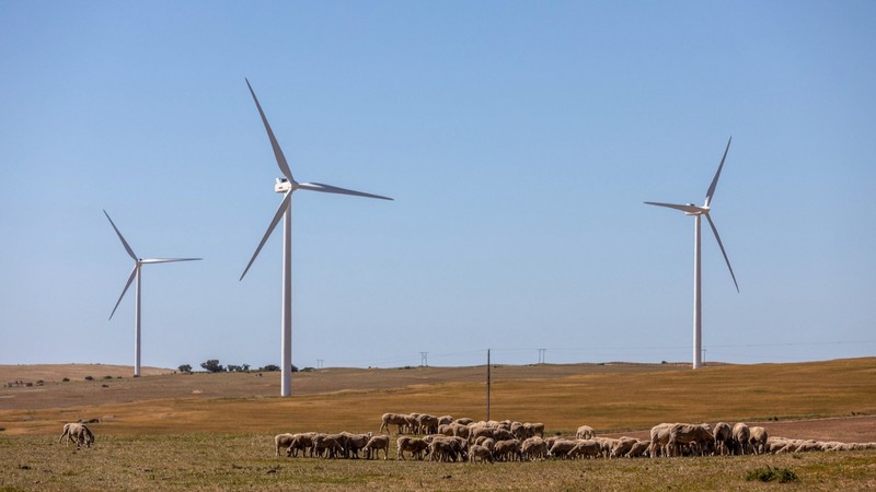 Transition écologique : Quels sont les intérêts de l'Afrique ? Transition écologique : Quels sont les intérêts de l'Afrique ?