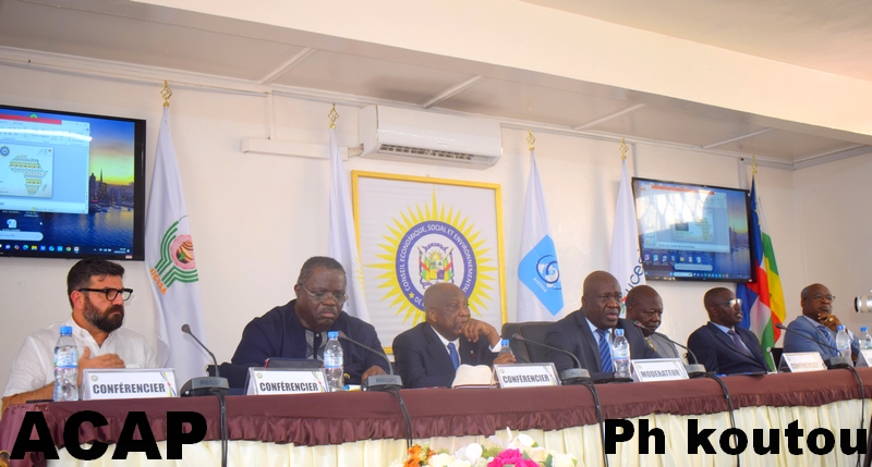 Les enjeux du financement des activités économiques du secteur privé Centrafricain Les enjeux du financement des activités économiques du secteur privé Centrafricain