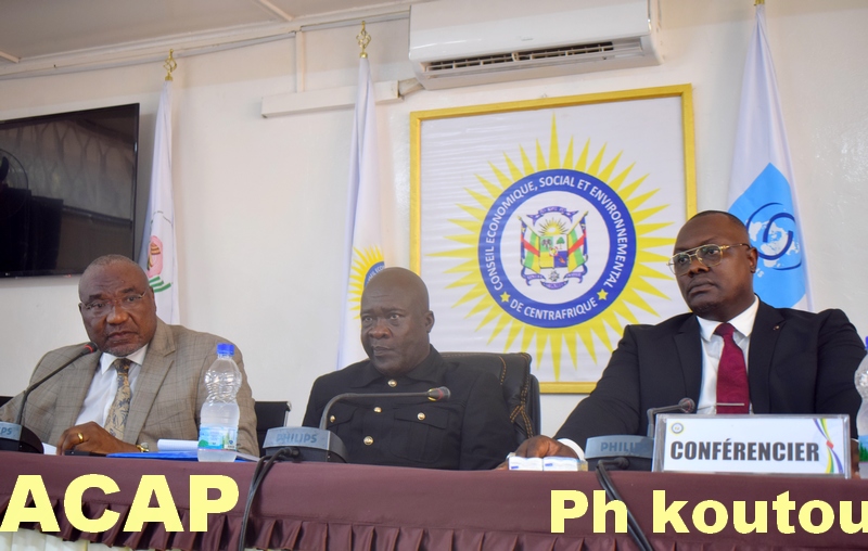 Les réformes du secteur parapublic de la République Centrafricaine Les réformes du secteur parapublic de la République Centrafricaine