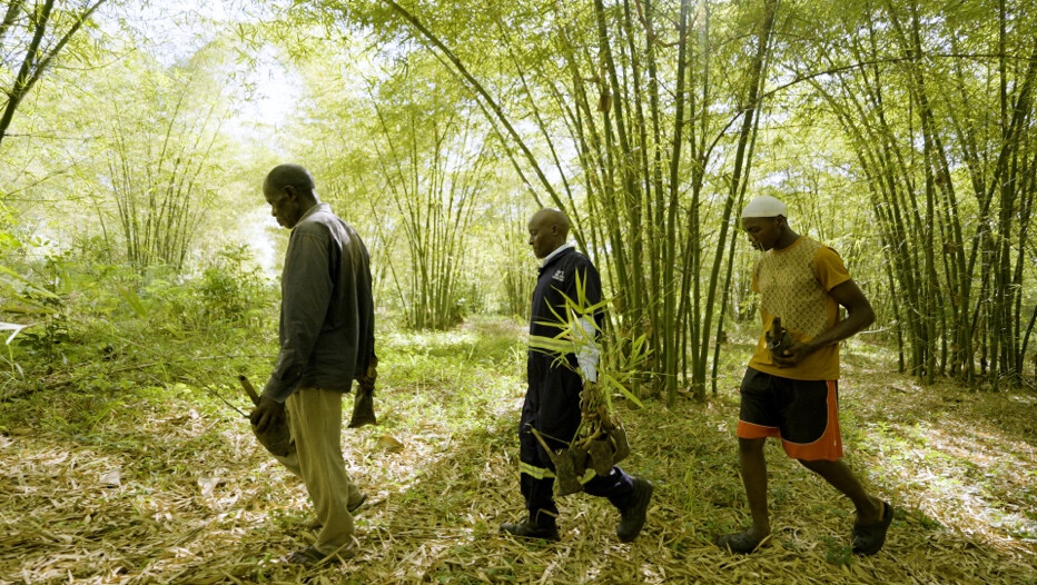 Chine-Afrique 2035 : redéfinir le futur | L'avenir en vert Chine-Afrique 2035 : redéfinir le futur | L'avenir en vert