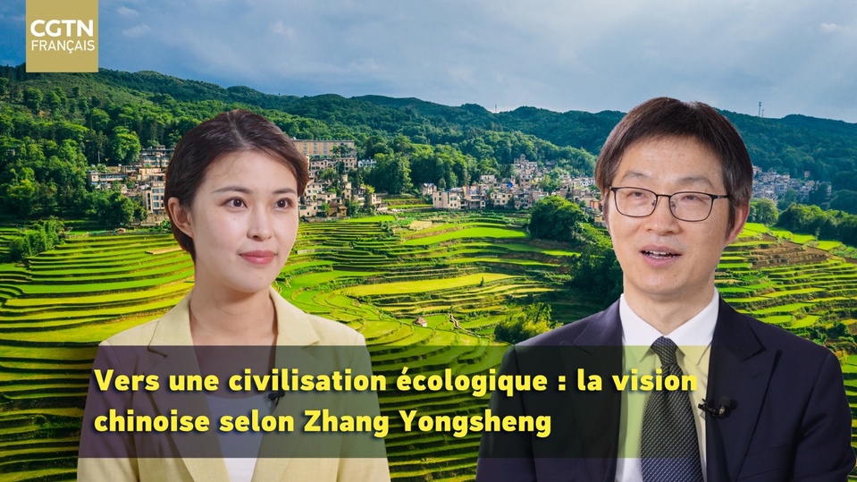 ​Vers une civilisation écologique : la vision chinoise, selon Zhang Yongsheng
