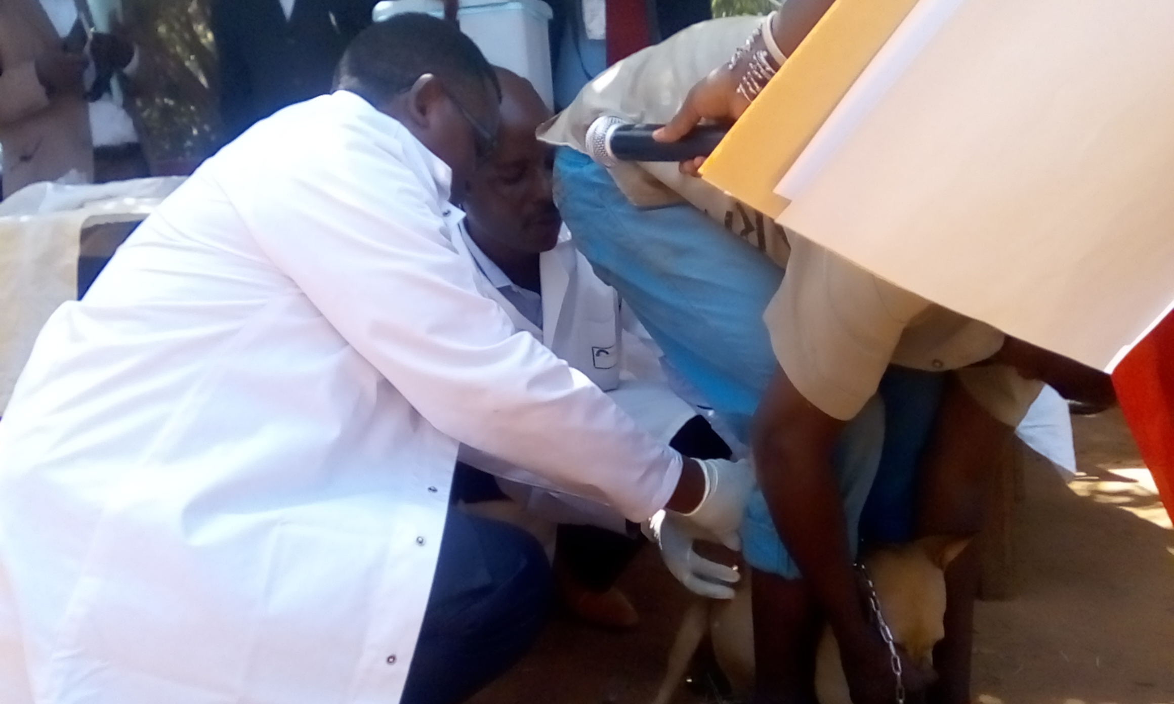 Youssoufa Yérima Mandjo vaccinant un chien contre la rage