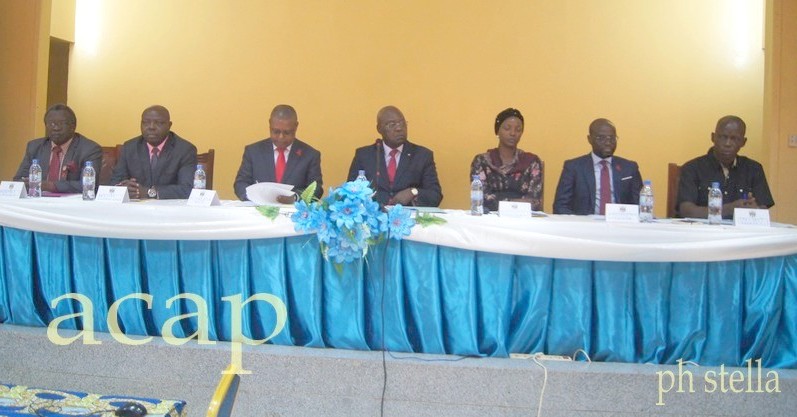 Le Premier-ministre, Simplice Mathieu Sarandji (centre), lors de l'ouverture de l'atelier