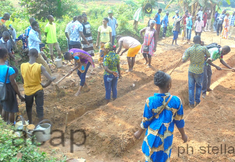 les jeunes du projet E Zingo en activité maraîchère dans le 4ème arrondissement de Bangui