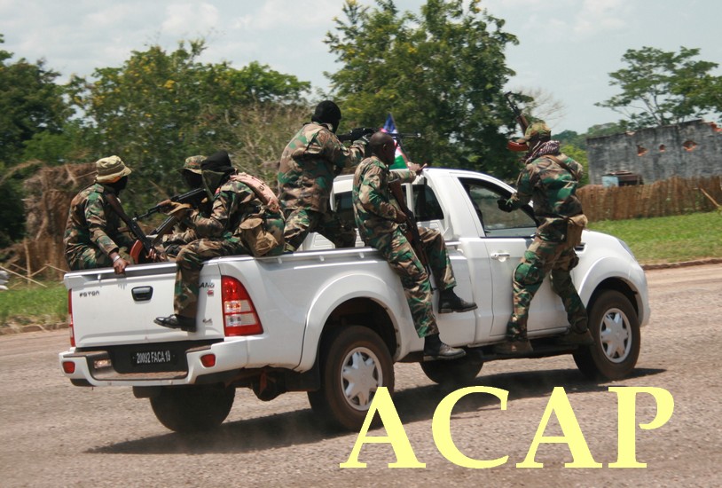 des FACA en pleine manoeuvre motorisée à Béréngo