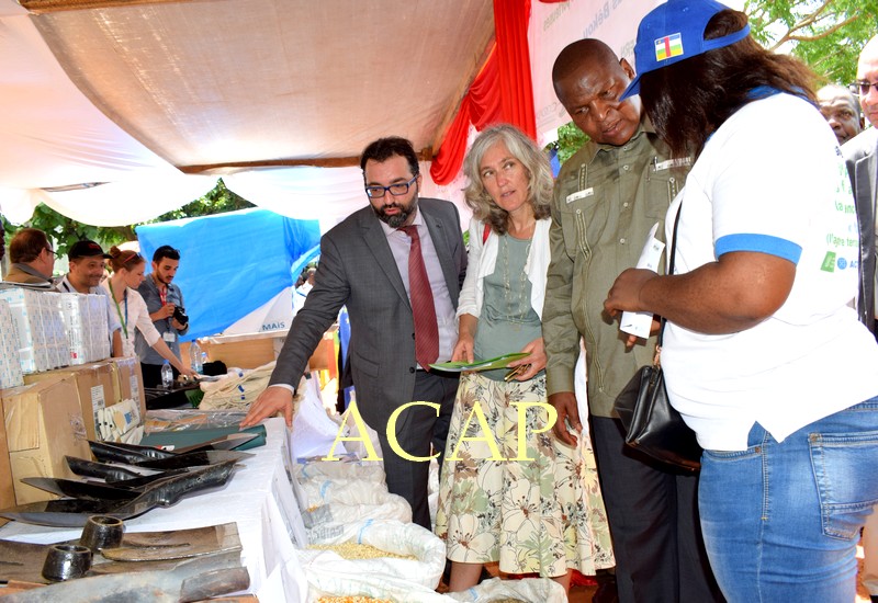 Le Président Touadéra visitant des stands érigés pour la circonstance