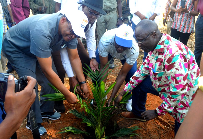 Scène de planting collectif d'un jeune palmier regroupant M. Fortunato Ofa Mbo Nchama et la délégation gouvernementale