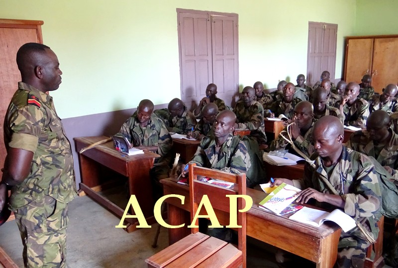 Début à Bouar de la formation militaire des jeunes recrues de l'armée centrafricaine 