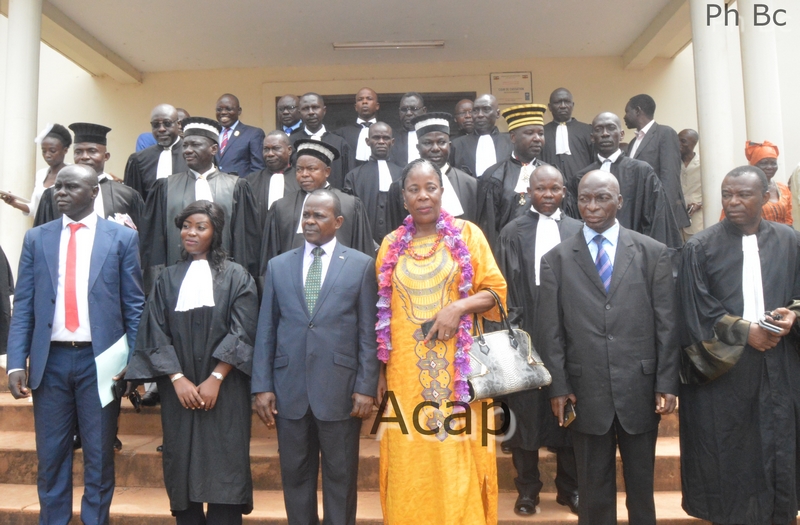 Les avocats stagiaires
