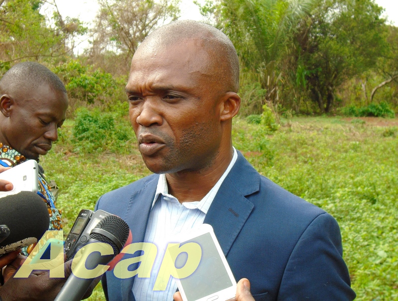 Visite des professionnels des médias à Kapou2 pk 45 axe Mbaïki sur une enquête nationale agricole