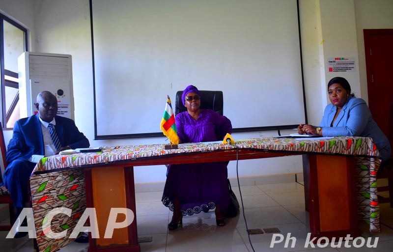 Première réunion du comité sectoriel du secteur privé et emploi