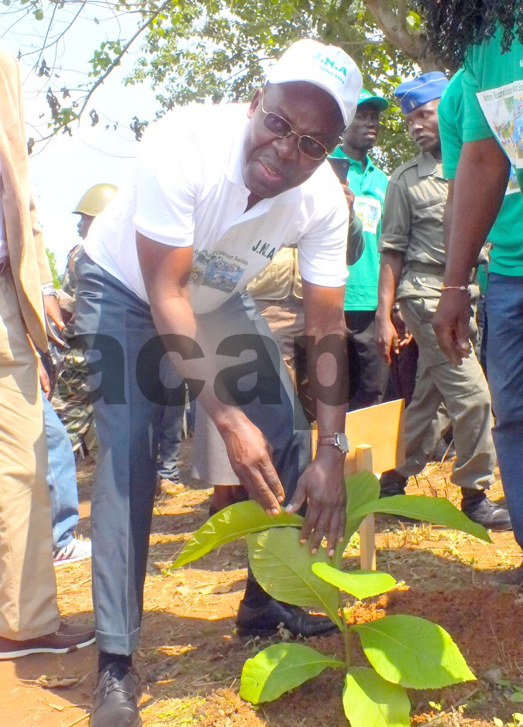 Le Premier ministre de transition, André Nzapayéké instruit le ministre de l’Economie Forestière de veiller à la stricte application de la loi forestière