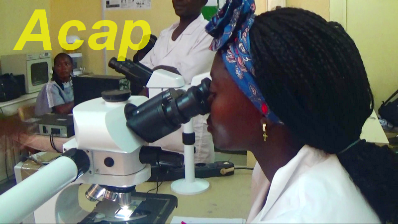 Dépistage de cancer au laboratoire national de Bangui.