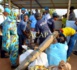 Les acquis partagés de l'accueil des réfugiés soudanais dans le camp de Pladama Ouaka à Bambari