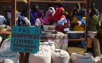 Célébration en différé de la Journée mondiale de l’alimentation à Ndélé