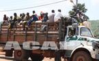 Centrafrique : des trafiquants de viande de brousse interceptés par la brigade mobile de contrôle des Eaux et Forêts