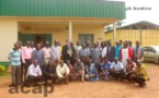 Ouverture à Bangui d’un atelier de formation sur la gestion de la chenille légionnaire d’automne du maïs