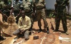 Centrafrique: Saisie à Bangui de quatre peaux d’espèces animales