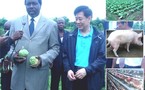 Le Ministre du Monde rural Fidèle Gouandjika visite la ferme pilote agropastorale de M’Poko