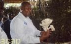Le Président Faustin-Archange Touadéra lance la culture de champignons au village Guerengou
