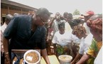 L’essessang, une nouvelle alimentation et une source de revenu