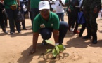Planting d’arbres dans l’enceinte de l’Ecole Benz-vi dans le 5ème arrondissement de Bangui
