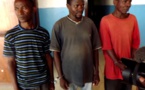 Trois braconniers récidivistes condamnés à Bayanga puis transférés à la prison centrale de Ngaragba à Bangui