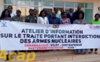 Le Traité portant l’interdiction des armes nucléaires au centre d'un atelier d’information
