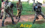 Les Forces Armées Centrafricaines poursuivent la lutte contre l'insalubrité