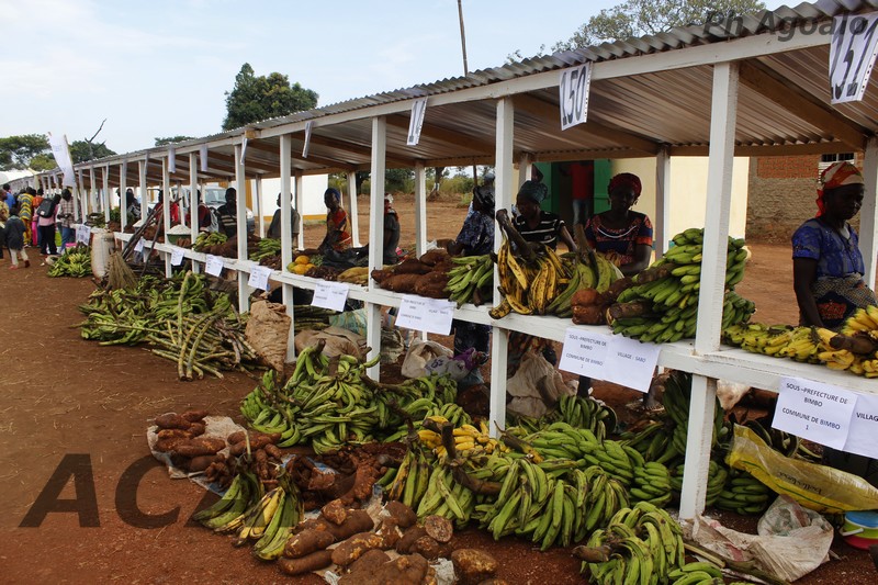 Vue des stands des produits Lobayen